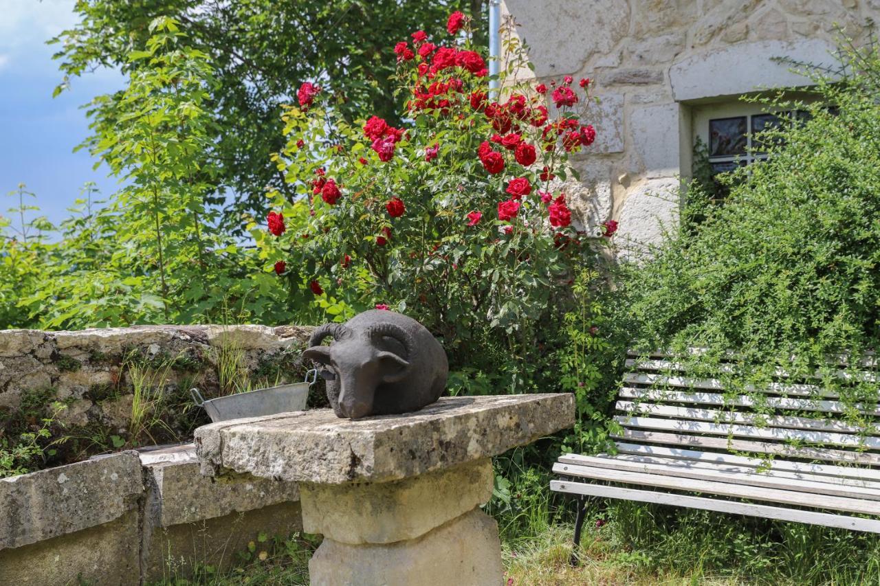 Château de Sothonod Exterior foto